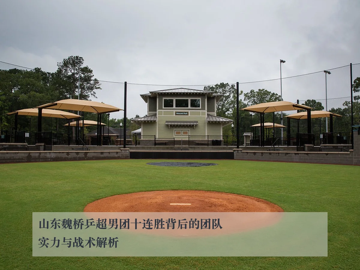 山东魏桥乒超男团十连胜背后的团队实力与战术解析