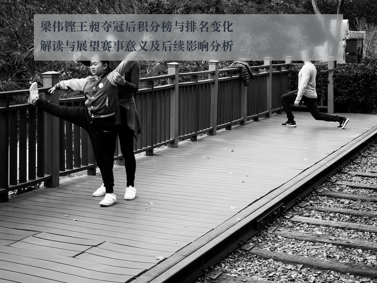 梁伟铿王昶夺冠后积分榜与排名变化解读与展望赛事意义及后续影响分析